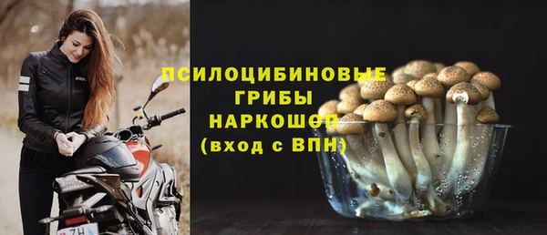 прущие крисы Балахна