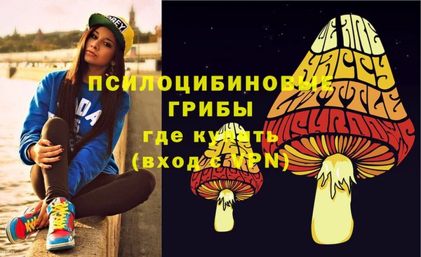 прущие крисы Балахна