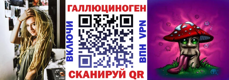 Псилоцибиновые грибы Psilocybe  Пролетарск 